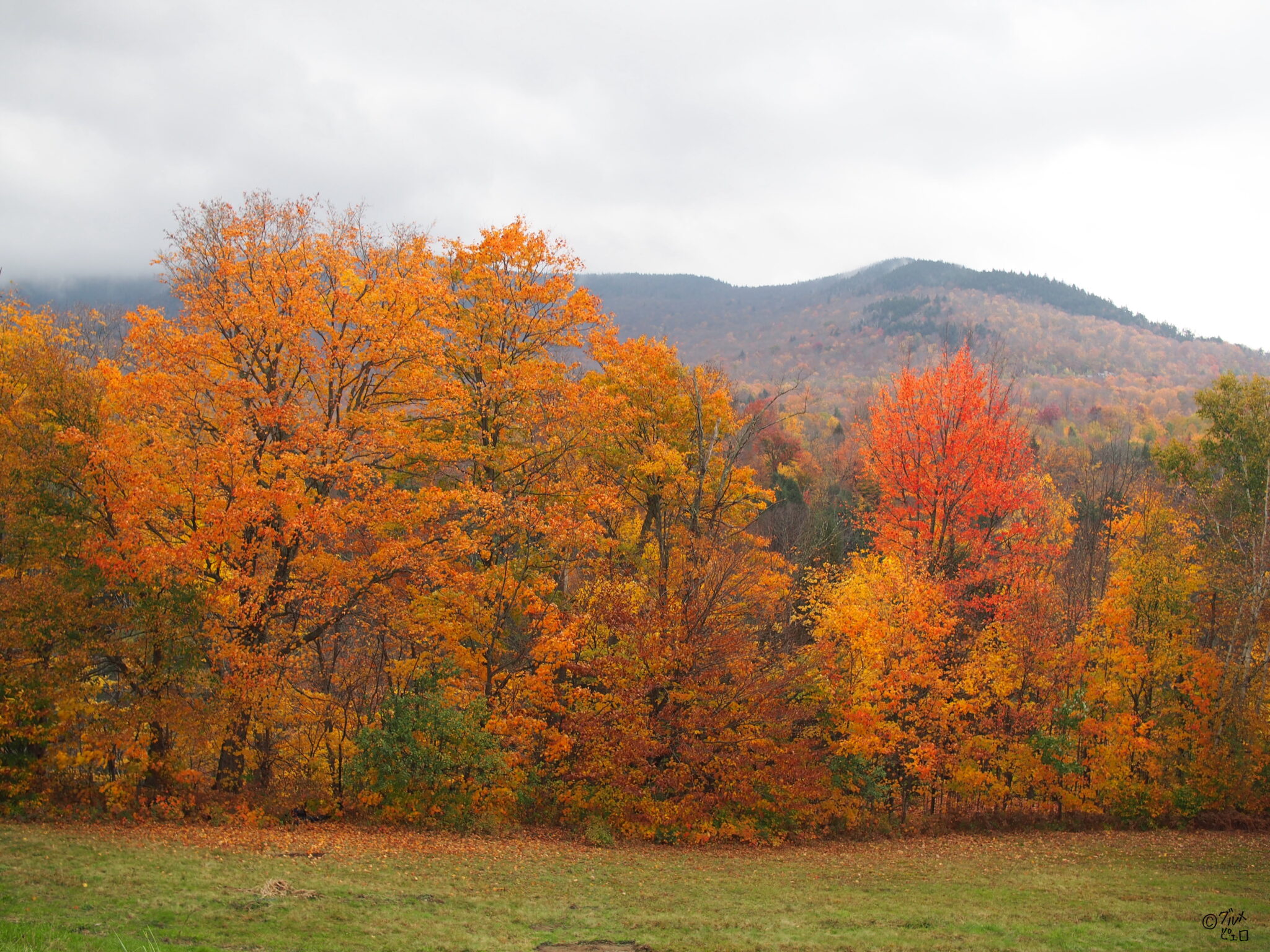 紅葉を観に行こう!絶景だらけの「バーモント州」最大都市バーリントンと紅葉の街ストウ【観光・グルメ情報】 グルメピエロ