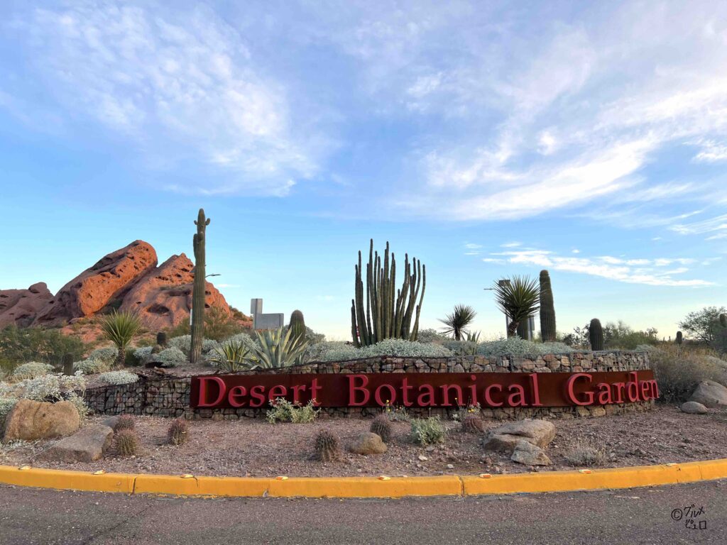 Desert Botanical Garden
砂漠植物園
アリゾナ州フェニックス