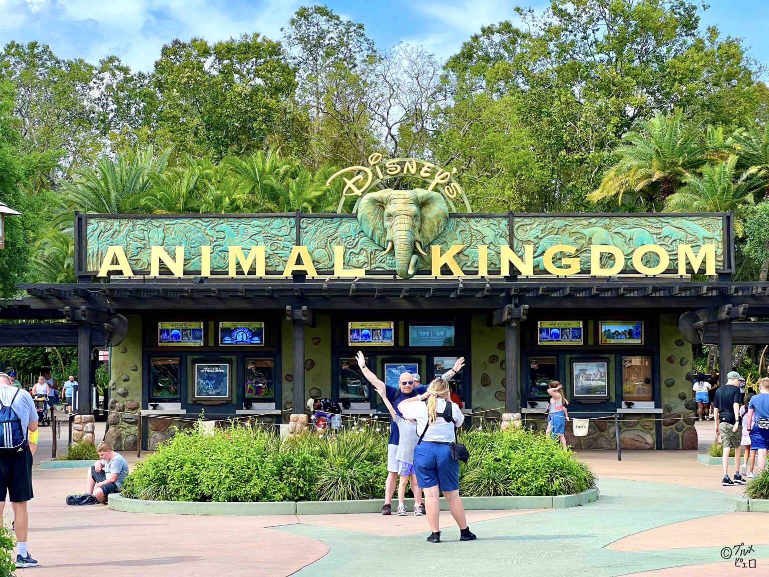 ディズニーワールド｜人気パーク「アニマルキングダム」徹底ガイド＆攻略法！【エリア・アトラクション紹介】 グルメピエロ