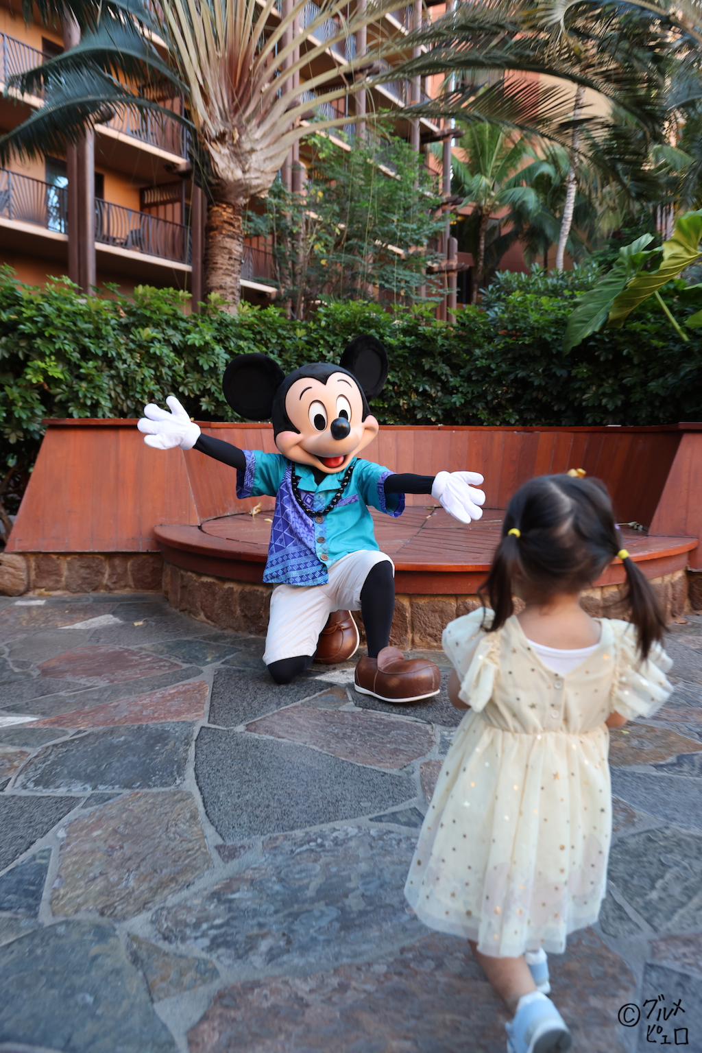 ローカル カリカリマウス ケモノ ローカル カリカリマウス ローカル